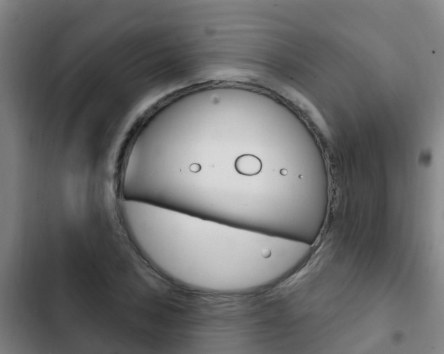 X0000103231027200808280945