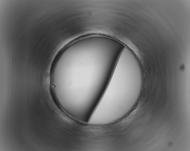 X0000103231028200808280945
