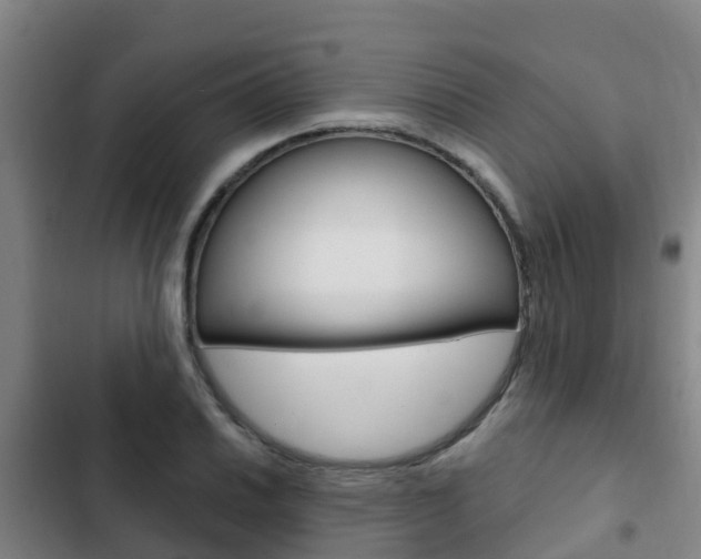 X0000103231030200808280945