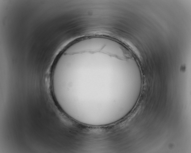 X0000103231031200808280945