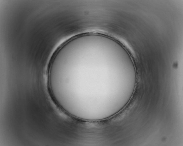 X0000103231032200808280945