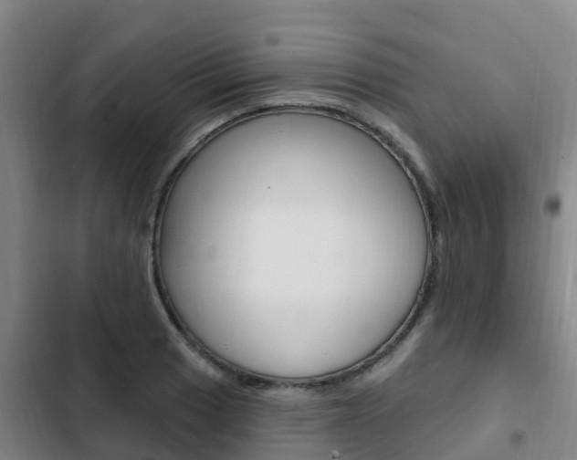 X0000103231033200808280945