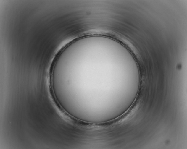 X0000103231034200808280945
