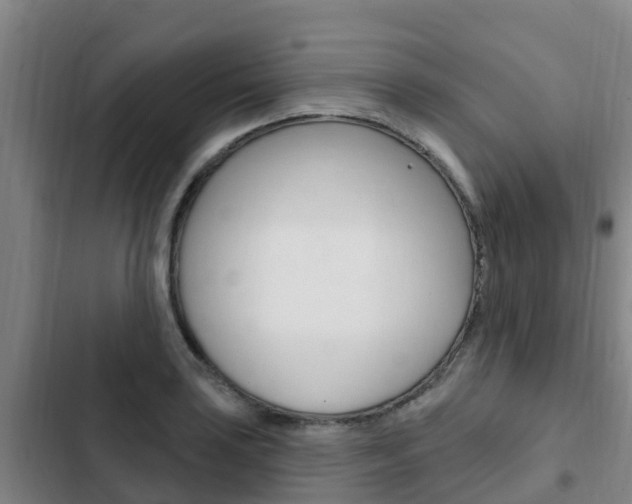 X0000103231035200808280945