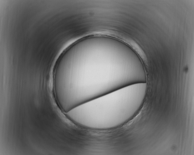 X0000103231036200808280945