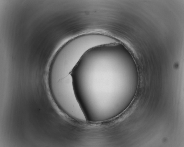 X0000103231038200808280945