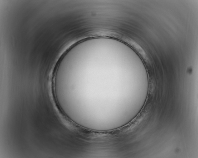 X0000103231039200808280945