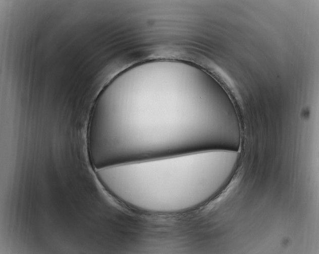 X0000103231041200808280945
