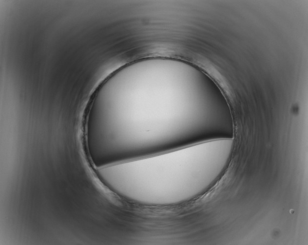 X0000103231042200808280945