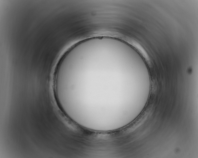 X0000103231043200808280945