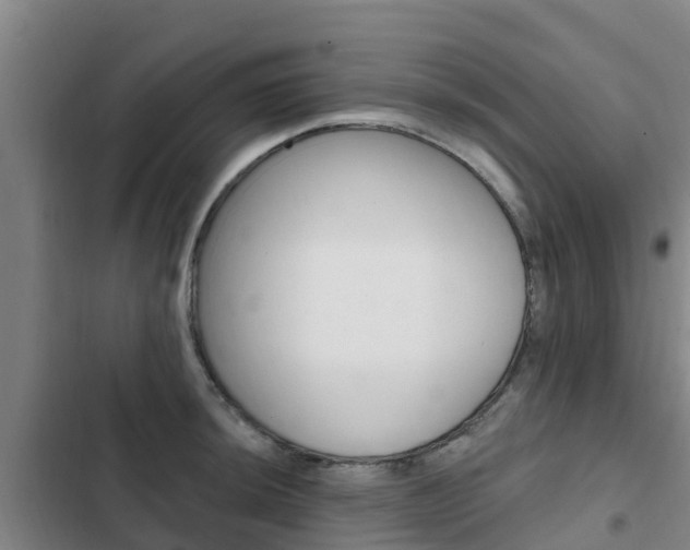 X0000103231044200808280945