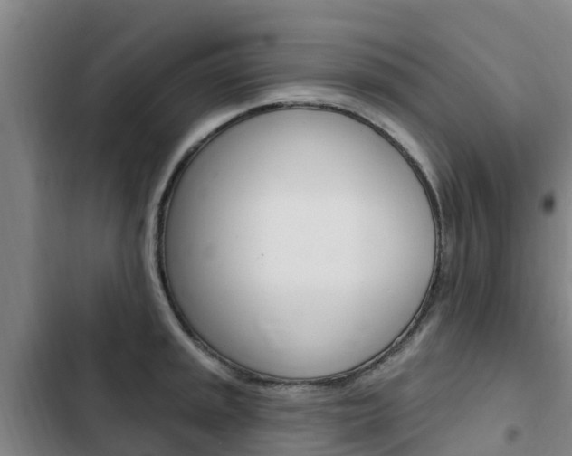 X0000103231045200808280945