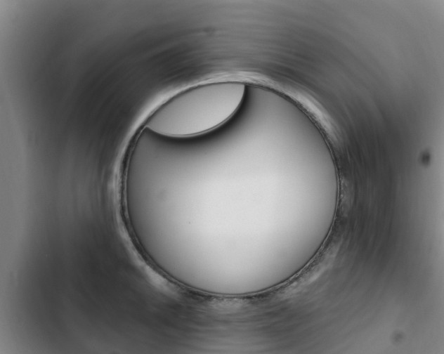 X0000103231046200808280945