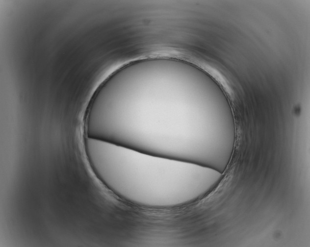 X0000103231047200808280945