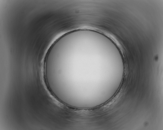 X0000103231048200808280945