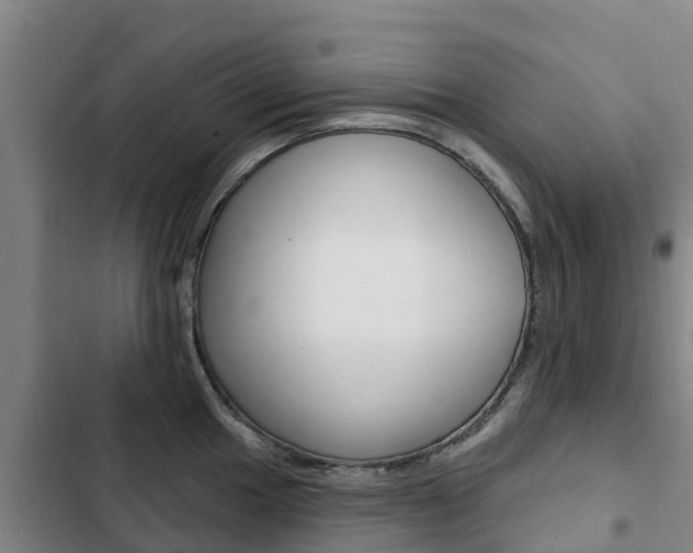 X0000103231049200808280945