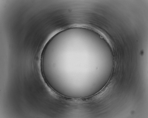 X0000103231050200808280945