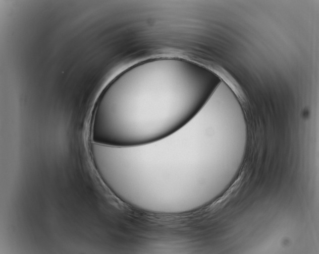 X0000103231052200808280945