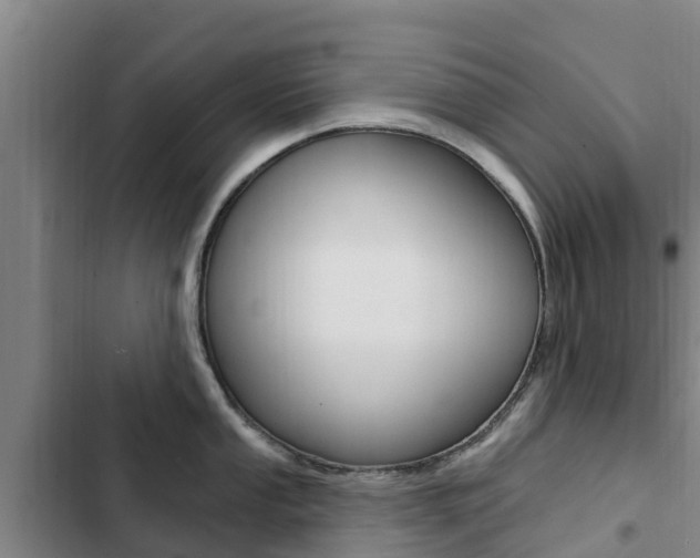X0000103231053200808280945