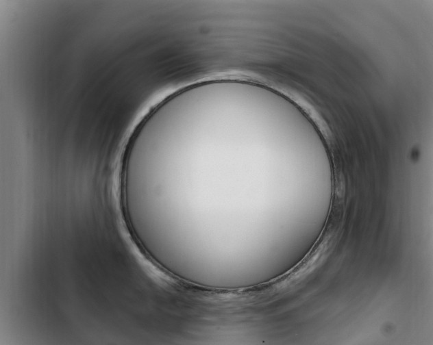 X0000103231054200808280945