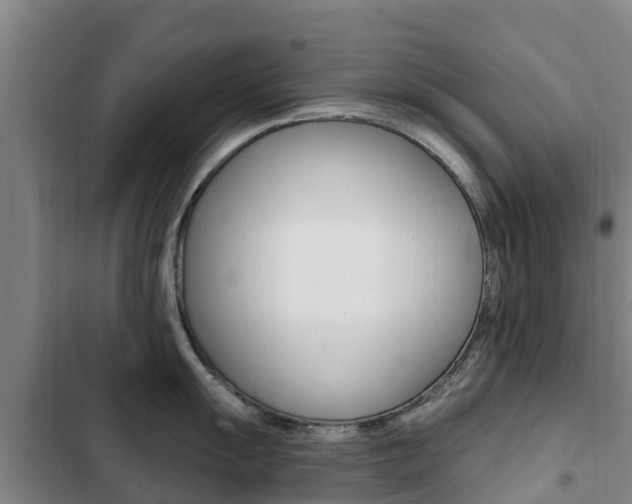 X0000103231055200808280945