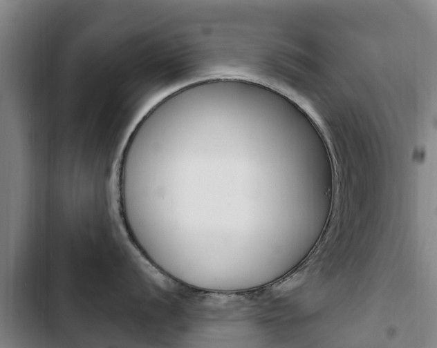X0000103231056200808280945