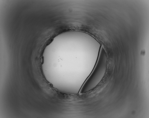X0000103231057200808280944