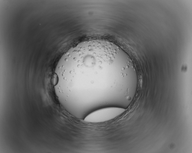 X0000103231059200808280944