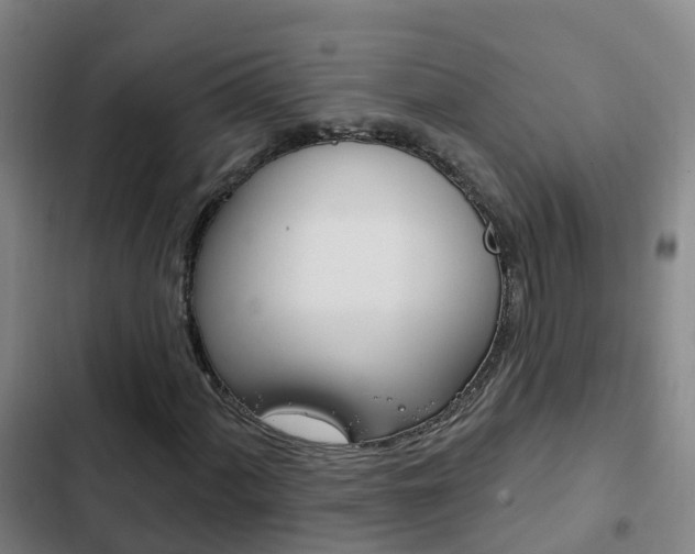 X0000103231060200808280944
