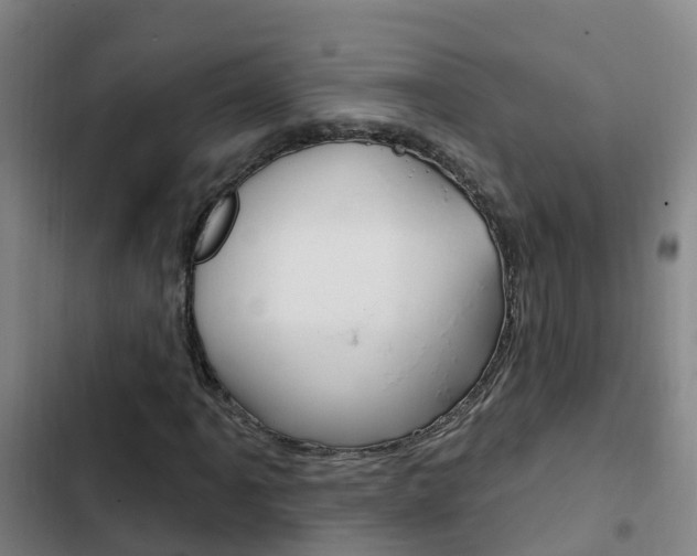 X0000103231061200808280944