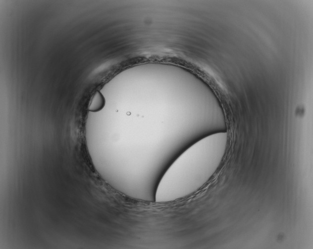 X0000103231063200808280944