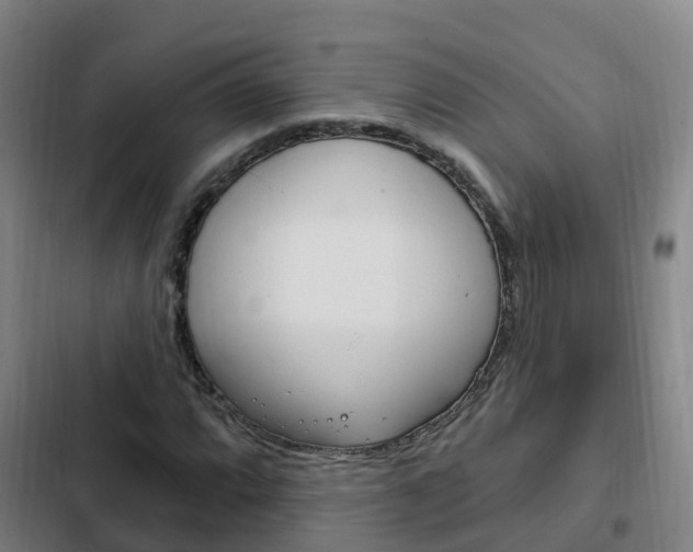 X0000103231064200808280944