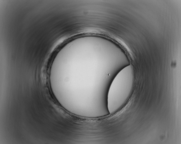 X0000103231067200808280944
