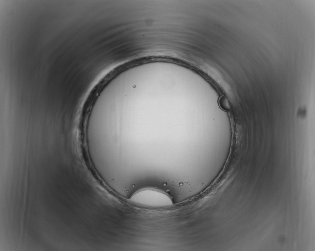 X0000103231068200808280944