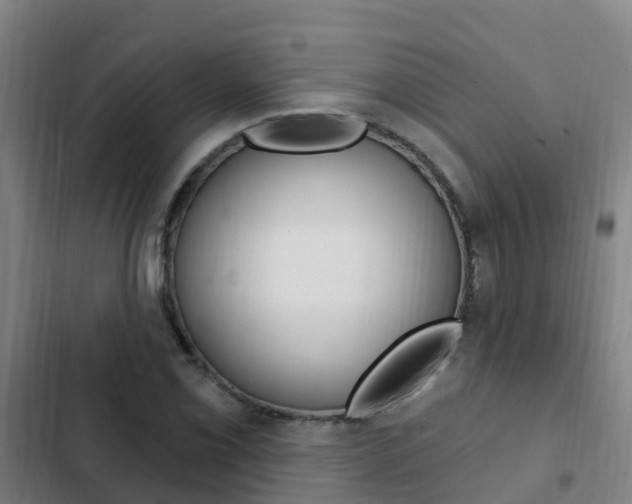 X0000103231069200808280944