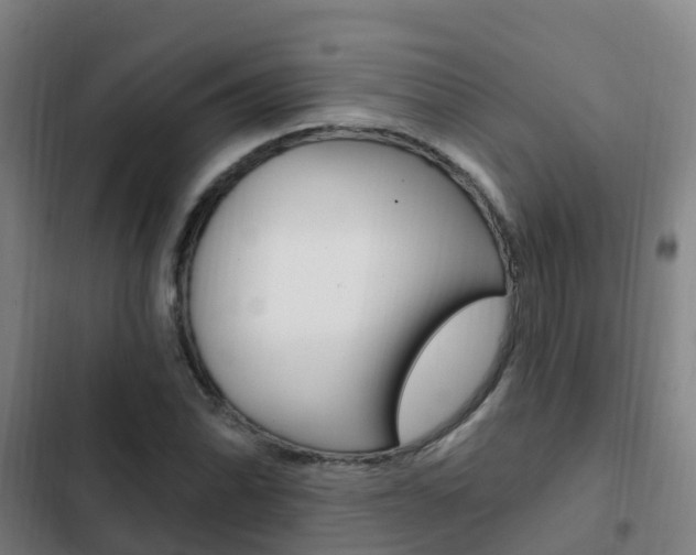 X0000103231070200808280944