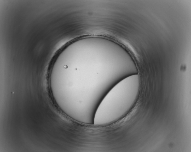 X0000103231071200808280944