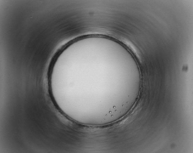 X0000103231072200808280944