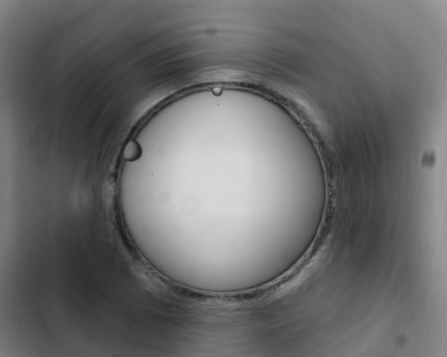 X0000103231073200808280944