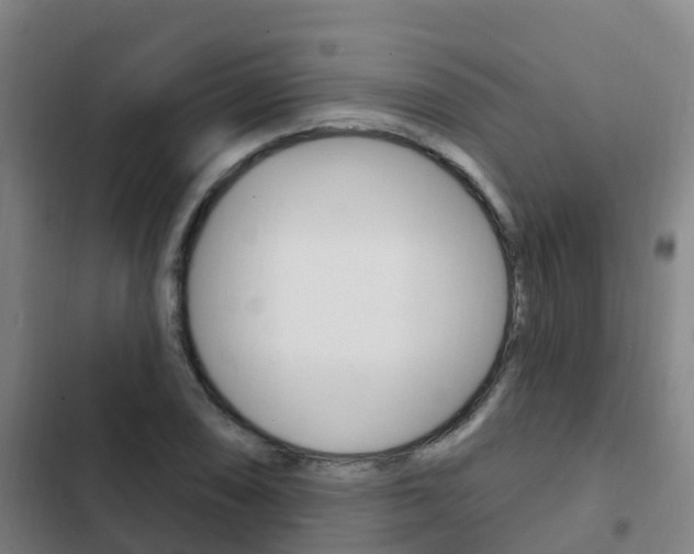 X0000103231074200808280944