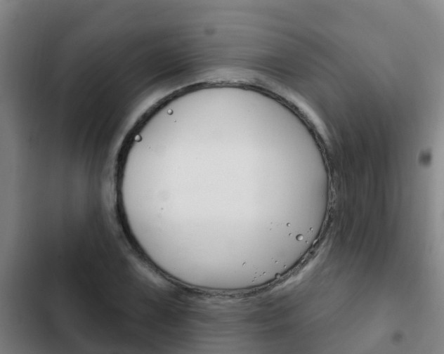 X0000103231075200808280944