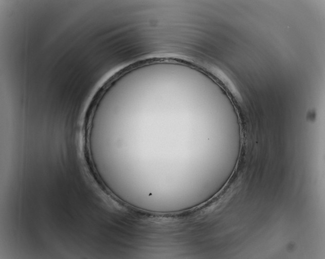 X0000103231076200808280944