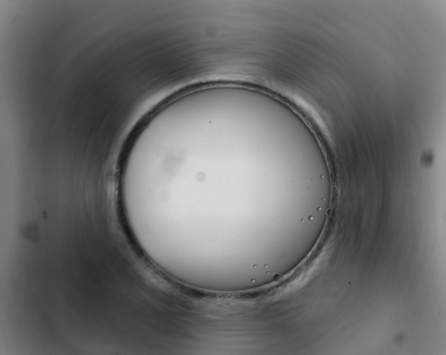 X0000103231077200808280944