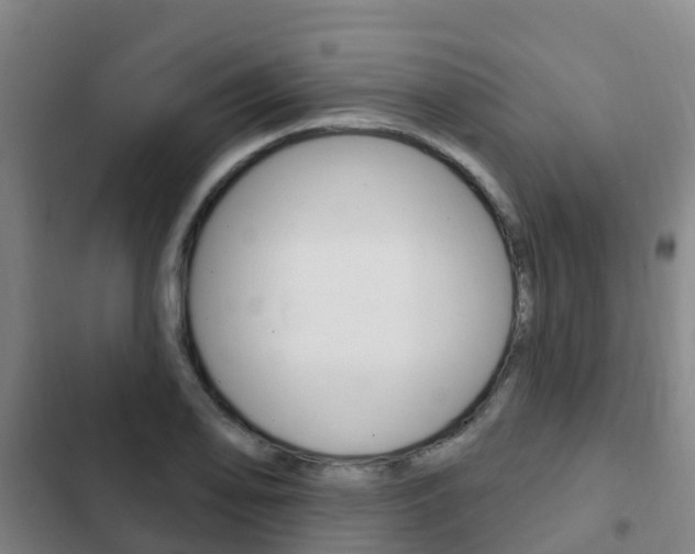 X0000103231078200808280944