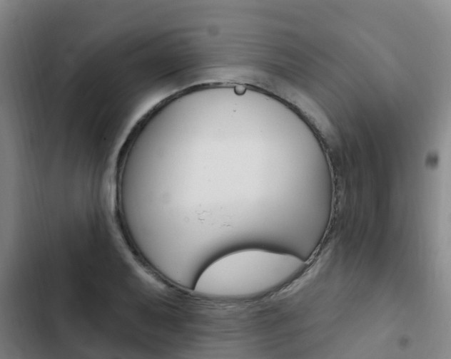 X0000103231079200808280944