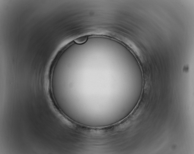 X0000103231080200808280944