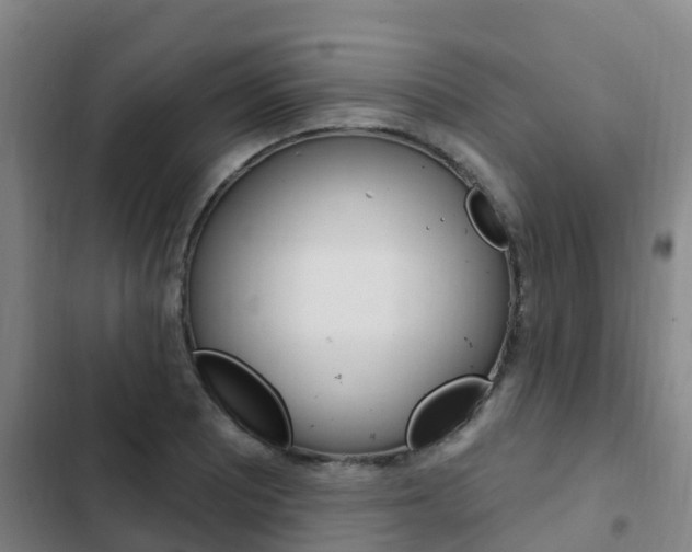 X0000103231081200808280944