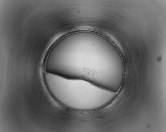 X0000103231082200808280944