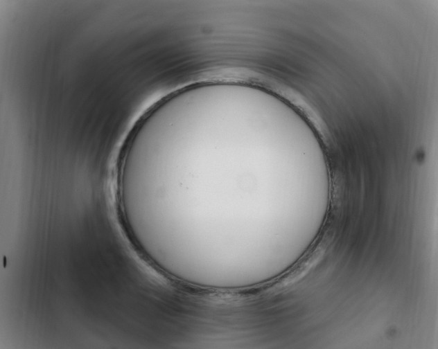 X0000103231083200808280944