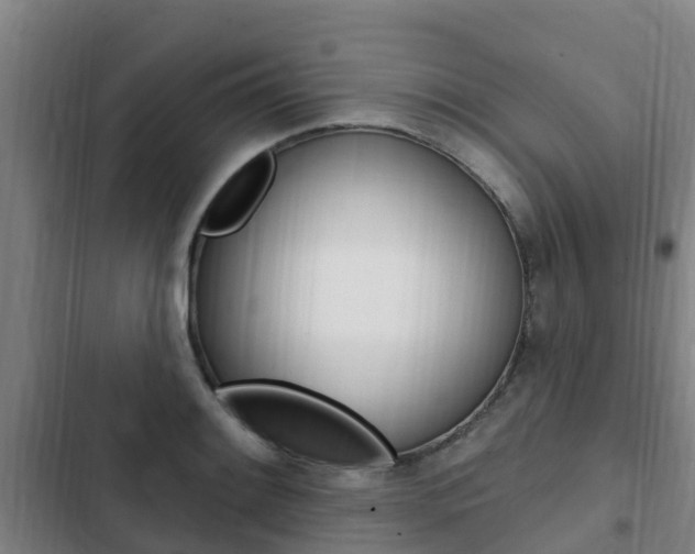 X0000103231084200808280944